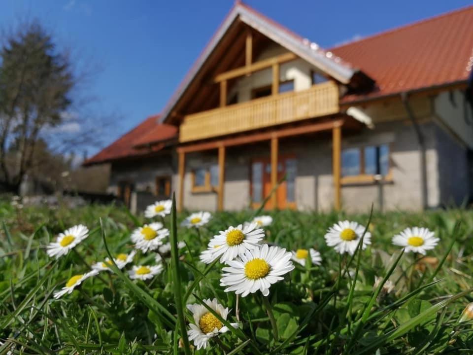 Wandertraum Johann - Fewo Eifel Kruft Exterior photo