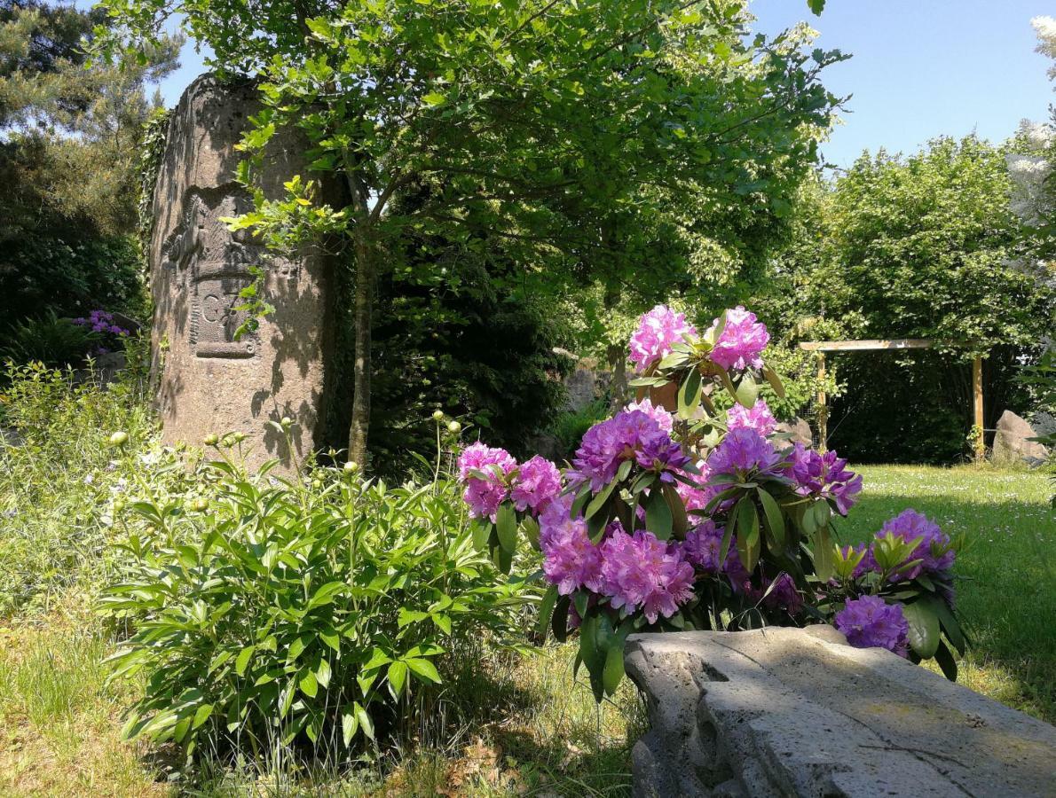 Wandertraum Johann - Fewo Eifel Kruft Exterior photo
